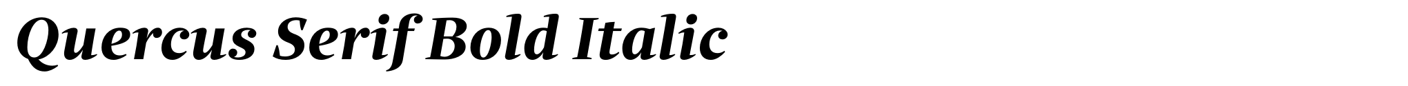 Quercus Serif Bold Italic image
